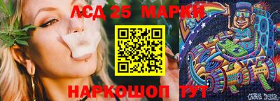 мдпв Гагарин