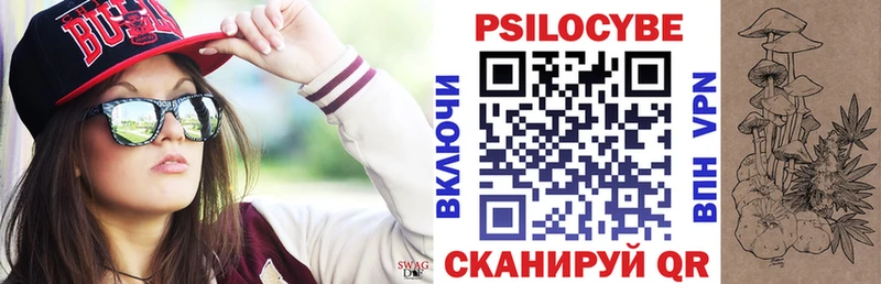 Псилоцибиновые грибы Cubensis Каменка