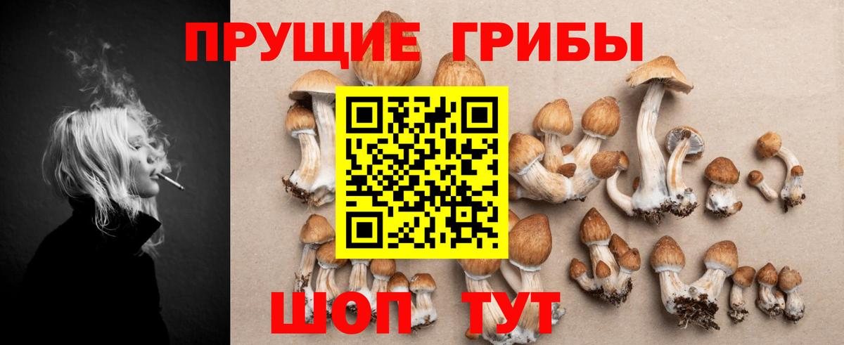 Псилоцибиновые грибы ЛСД  Вход с VPN  Каменка 