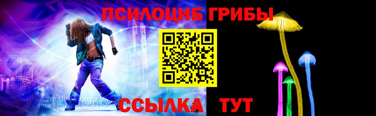 Галлюциногенные грибы GOLDEN TEACHER Каменка