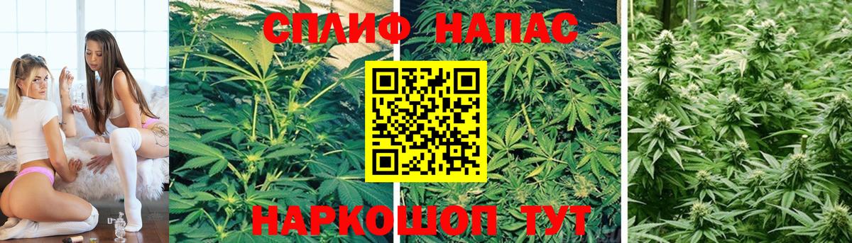 Конопля VHQ Каменка