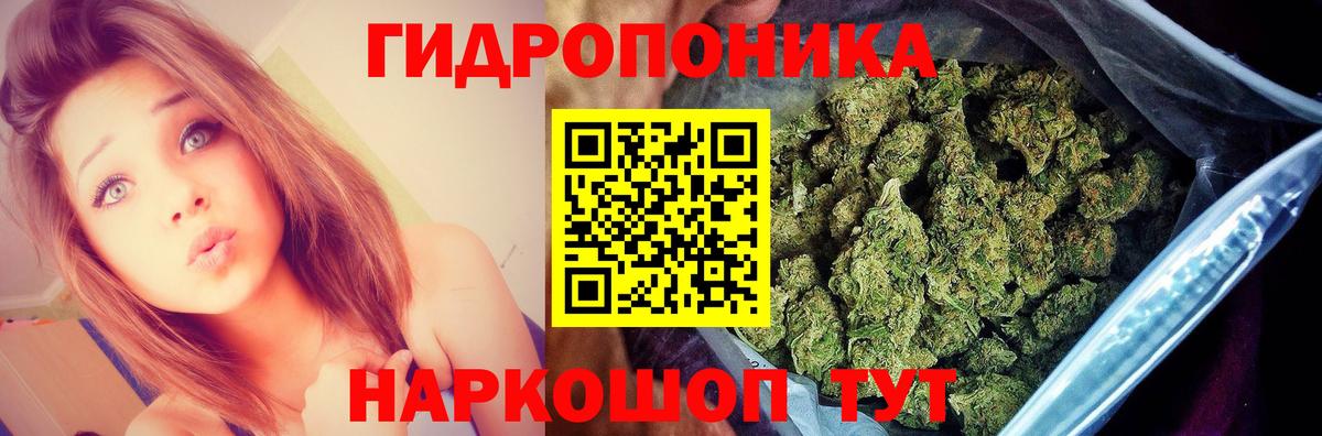 Бошки Шишки AK-47  МАРИХУАНА семена  Каменка  Бошки Шишки ГИДРОПОН 